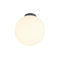 SLV PlafondlampSun 30 zwart bol Ø 30cm - 1008127