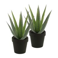 Kunstplant Aloe Vera - 2x - groen - in zwarte pot - 23 cm - thumbnail