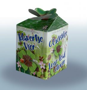 Klavertje-vier Greengift