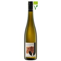 Sauvignon Blanc 2023 - 75CL - 13% Vol. - thumbnail