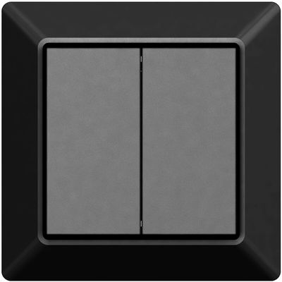 EcoDim - Draadloze Schakelaar - Smart WiFi - ED-10043 - ZigBee - 2-voudig Schakelaar - Zwart - Werkt met Philips Hue