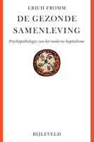 De gezonde samenleving (Paperback)