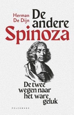 De andere Spinoza (Paperback)