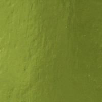 Tonic Studios • mirror card a4 x5 holly green