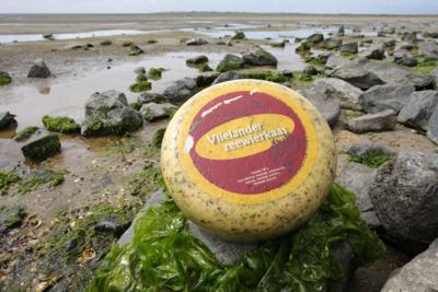 4,5kg Vlielander Zeewierkaas (bio)