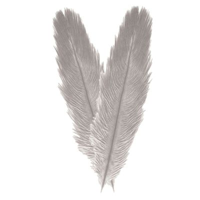 Pieten struisvogelveer/sierveer - 2x - licht grijs - 55-60 cm - decoratie/hobbymateriaal