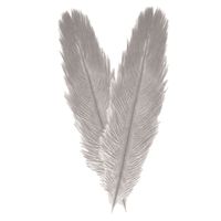 Pieten struisvogelveer/sierveer - 2x - licht grijs - 55-60 cm - decoratie/hobbymateriaal