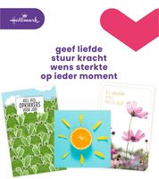 Wenskaart Hallmark navulset beterschap/sterkte 12 kaarten - thumbnail