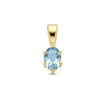 14K Geelgouden Hanger met December Geboortesteen - 13x4,5mm