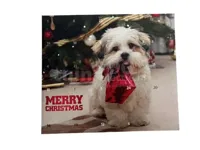 Boony Kerst Adventskalender Hondensnacks 24st