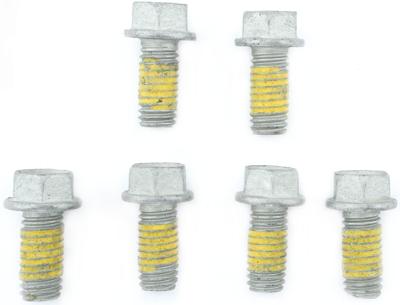 TRW Screw set 6pcs. m6x1