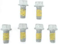 TRW Screw set 6pcs. m6x1