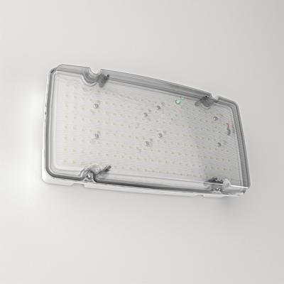 HOFTRONIC™ Salus Max - LED Noodverlichting met Accu - 5 Watt 1000/1500 Lumen - Wand/plafond-opbouw - Autotest - 6500K Daglicht Wit Licht - IP66 waterdicht - IK08