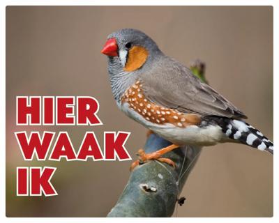 Exotische Vogel Waakbord - Hier Waak Ik