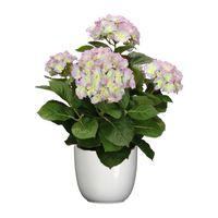 Hortensia kunstplant/kunstbloemen 45 cm - paars/groen - in pot wit glans