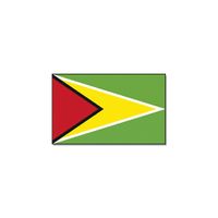 Gevelvlag/vlaggenmast vlag Guyana 90 x 150 cm   -