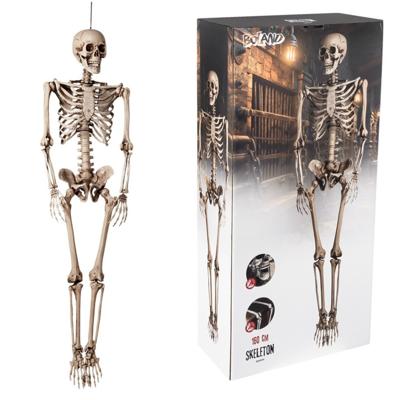 Mensen skelet deco pop - 158 cm - lang - Halloween en horror thema - versiering - geraamte