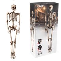 Mensen skelet deco pop - 158 cm - lang - Halloween en horror thema - versiering - geraamte