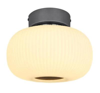 Plafondlamp modern &apos;Boomer&apos; opaal glas led lamp 240mm