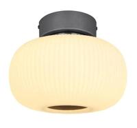 Plafondlamp modern &apos;Boomer&apos; opaal glas led lamp 240mm
