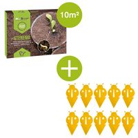 Rouwvliegjes bestrijdingspakket - Stenema 10m² + 10 vangplaatjes - thumbnail