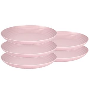 Set van 10x stuks rond kunststof borden oud roze 25 cm