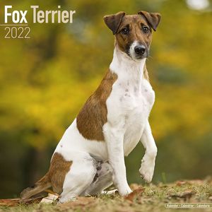 Kalender 2025 Fox Terrier