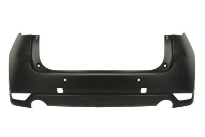 Bumper 5506003496951P