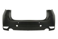Bumper 5506003496951P