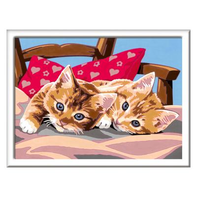 Ravensburger Creart schilderen op nummer - twee knuffelige katten