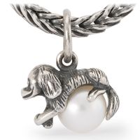 Trollbeads TAGBE-00303 Kraal-Hanger Grenzeloos mededogen zilver