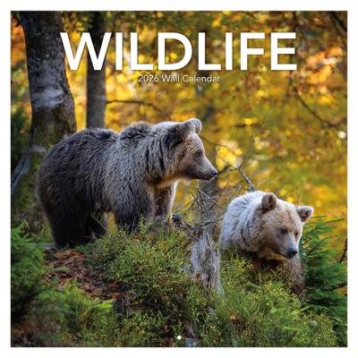 Wildlife Kalender 2026