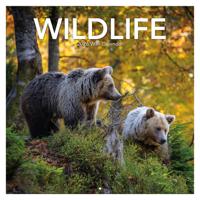 Wildlife Kalender 2026
