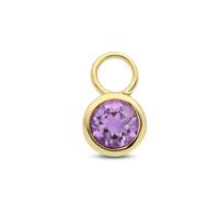 14K Geelgouden Oorringhanger Februari Geboortesteen 8,5x6mm - Per Stuk