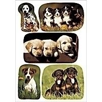 HERMA DECOR stickers photos of puppies 3 sheets etiket