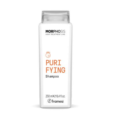 Framesi Morphosis Purifying Shampoo 250ml | Anti-roos