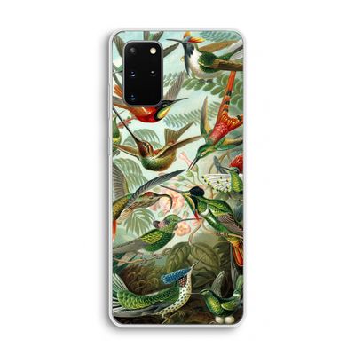 Haeckel Trochilidae: Samsung Galaxy S20 Plus Transparant Hoesje