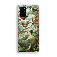 Haeckel Trochilidae: Samsung Galaxy S20 Plus Transparant Hoesje