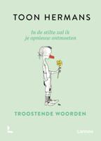In de stilte zal ik je opnieuw ontmoeten (Hardback) In de stilte zal ik je opnieuw ontmoeten (Hardback)
