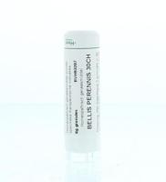 Homeoden Heel Bellis perennis 30CH 6 Gram