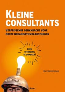 Kleine consultants (Paperback)