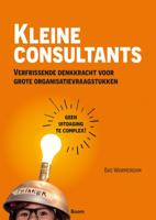 Kleine consultants (Paperback)