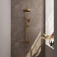 BRAUER Stripe Opbouw Thermostatische Regendouche - SET 02 - 25cm hoofddouche - 3-standen handdouche - doucheslang - goud geborsteld PVD 5-GG-349
