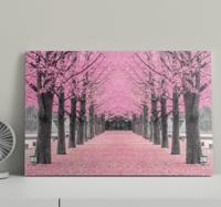 Canvas schilderij hal Roze bomen bos
