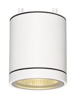 Plafondlamp ENOLA_C OUT CL wit 1xLED 3000K
