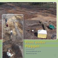 Prins onder plaggen (Paperback) Prins onder plaggen (Paperback)