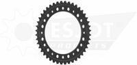 ESJOT Chain wheel 530 44z steel black
