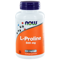 NOW L-Proline 500mg Capsules