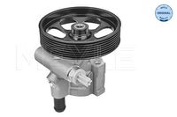 Servo pomp 16166310004