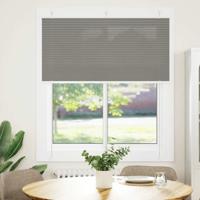 VidaXL Plissé rolgordijn 120x100 cm stofbreedte 119,4 cm antraciet